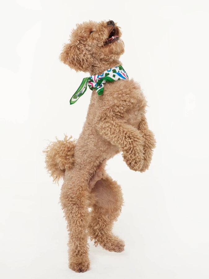 Mc2 Saint Barth Foulard Con Stampa Fortunata