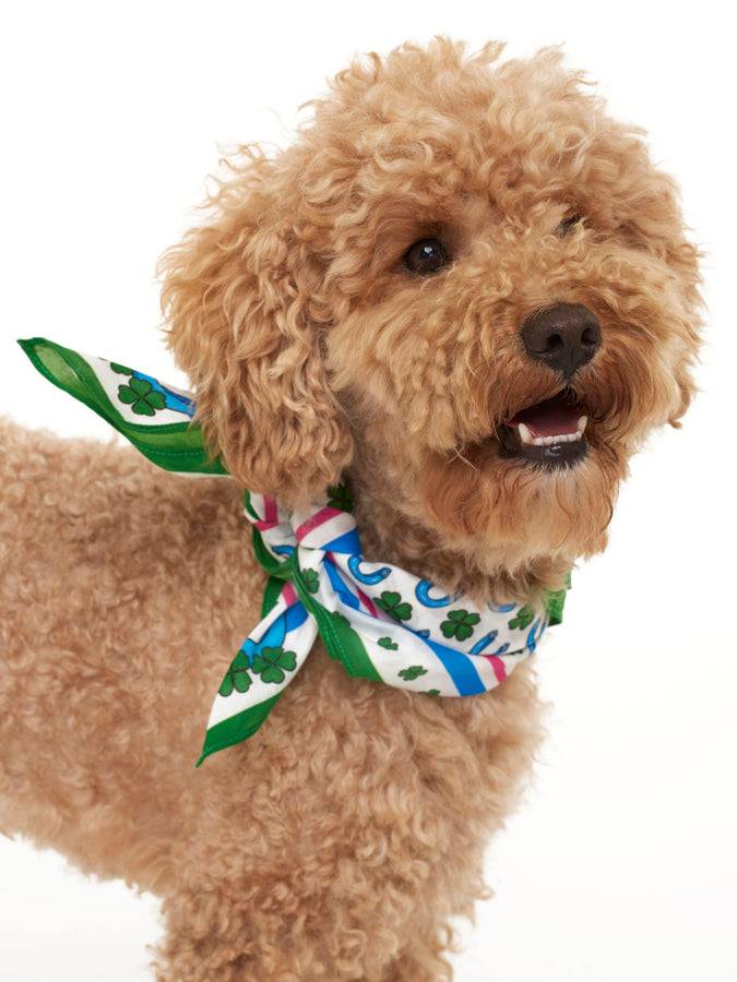 Mc2 Saint Barth Foulard Con Stampa Fortunata