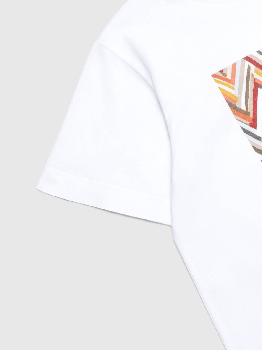 Missoni T-shirt In Jersey Di Cotone Con Stampa Chevron E Logo
