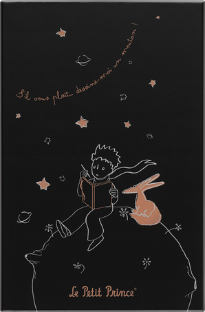 Moleskine Taccuino Le Petit Prince in edizione limitataLarge, copertina rigida, a righe, con Gift box