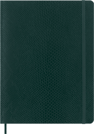 Moleskine Taccuino Precious & EthicalCopertina morbida vegana, effetto pitone, a righe, Verde