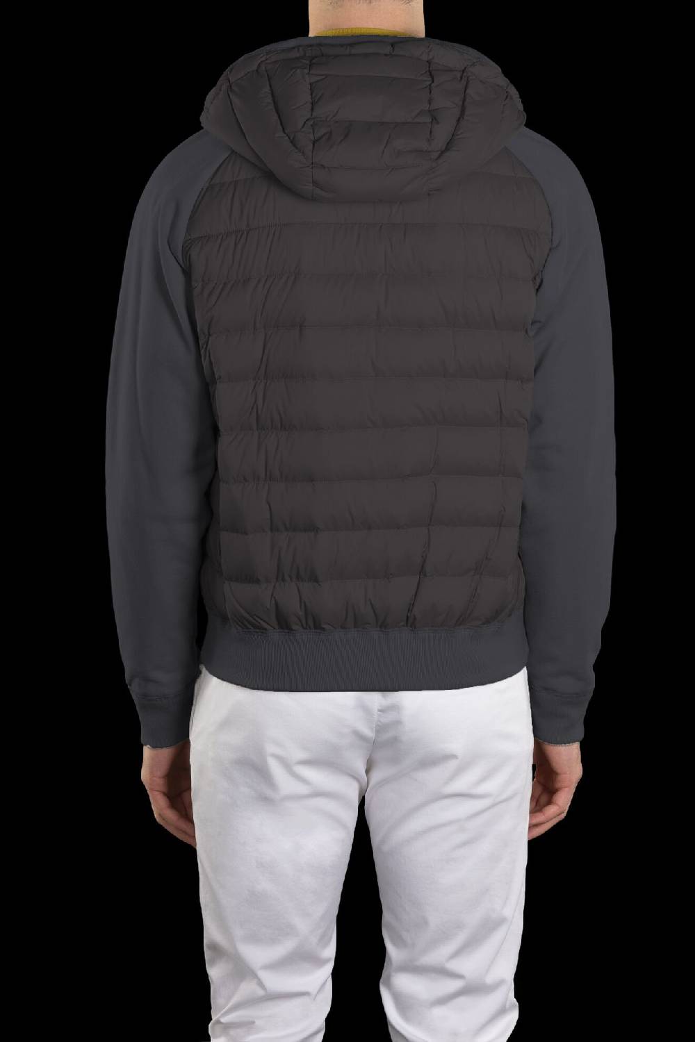 Moorer Bomber CHIRICO-S3F