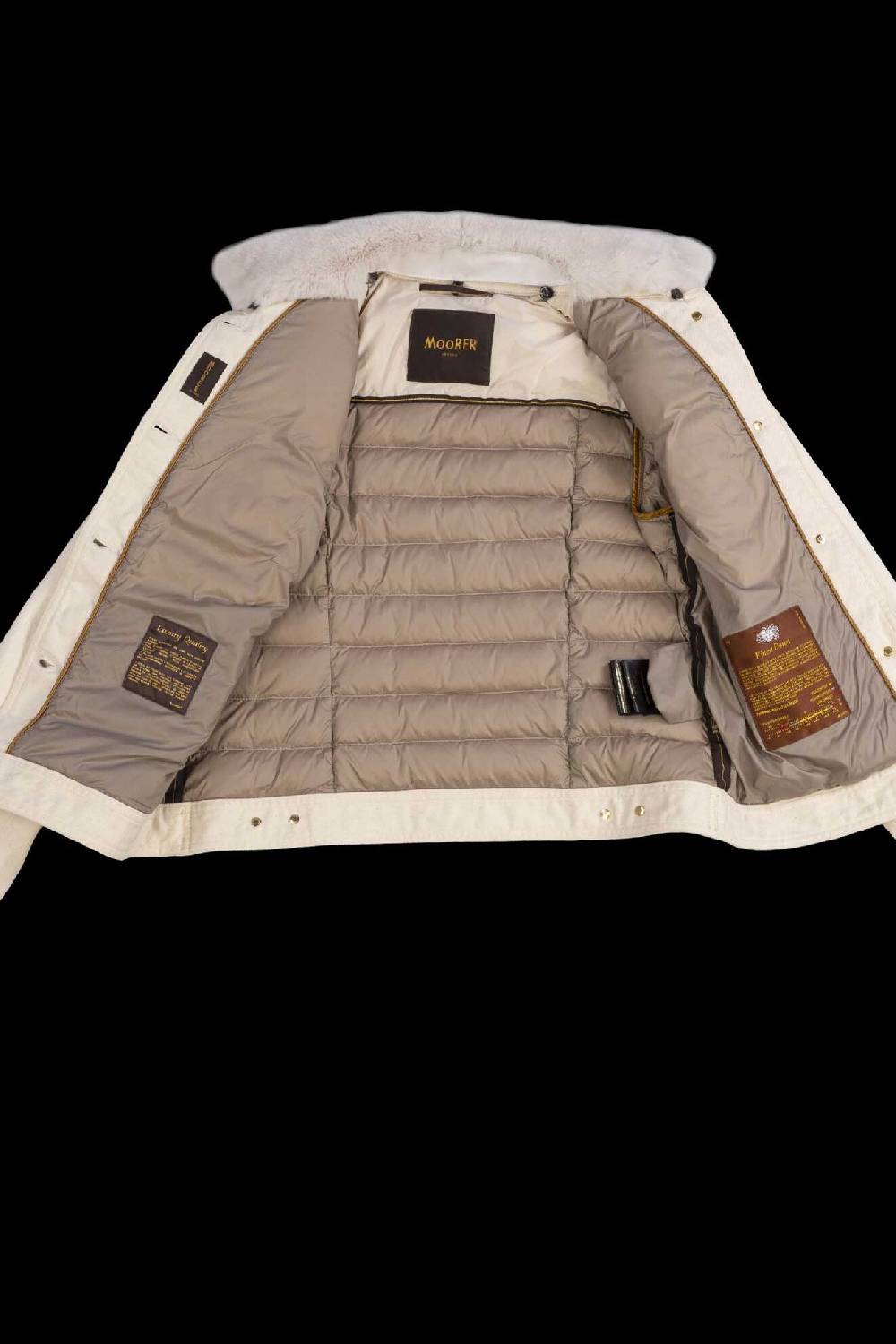 Moorer Ibridi PETUNIA-FUR-211