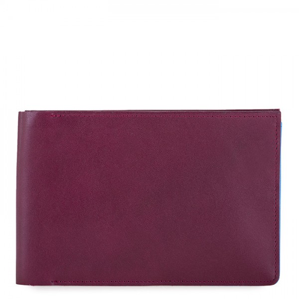 Mywalit Portafoglio da viaggio da uomo con tecnologia RFID Prugna-Celeste