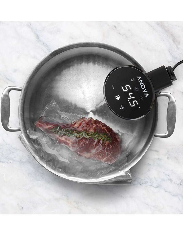 Anova Precision® Cooker Nano Robot Da Cucina - Nero