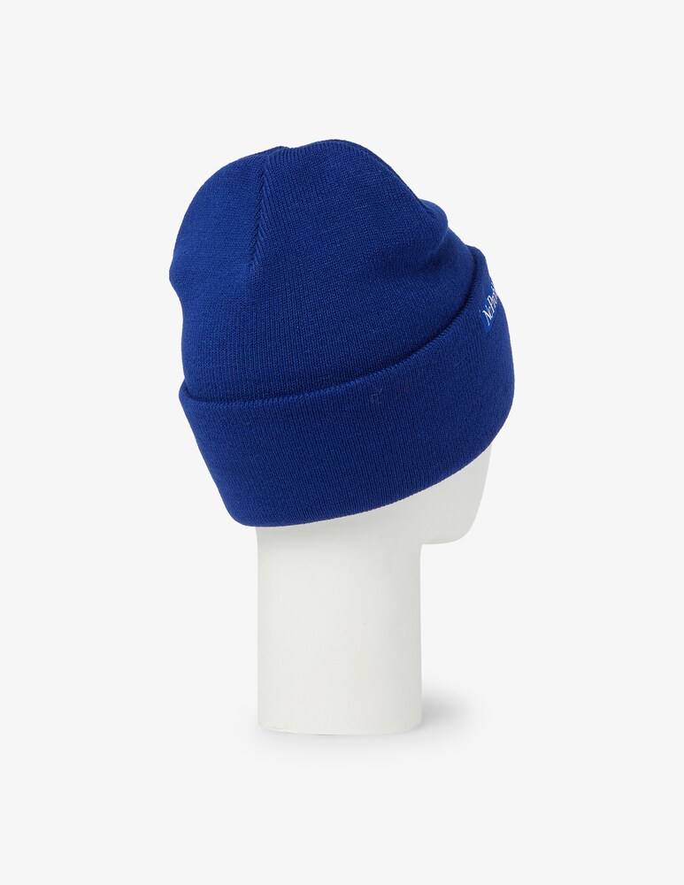 Aries Cappello Beanie Mini Problemo