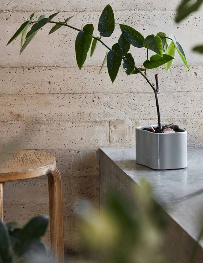 Artek Aalto Planter Large Vaso - Grigio