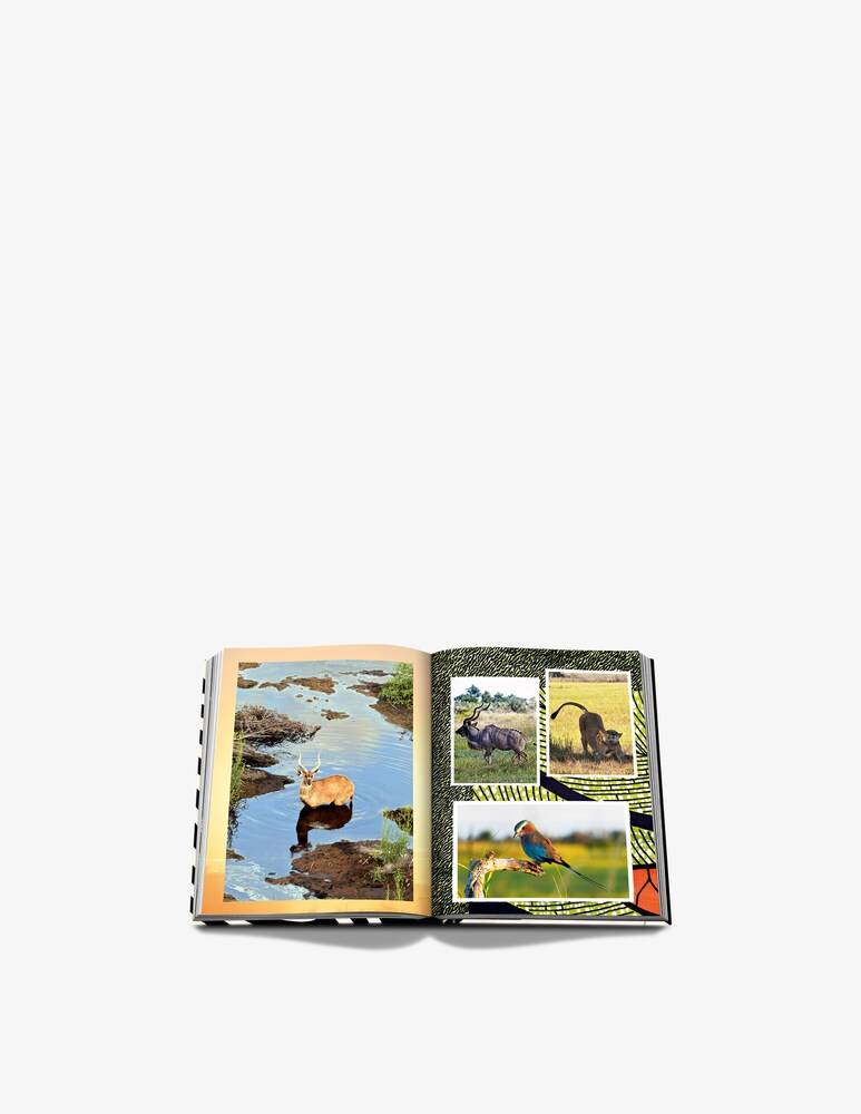 Assouline African Adventures Libro
