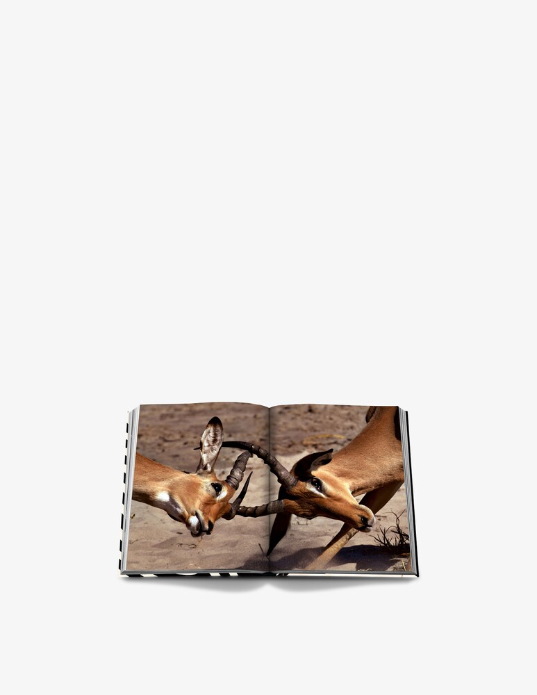 Assouline African Adventures Libro