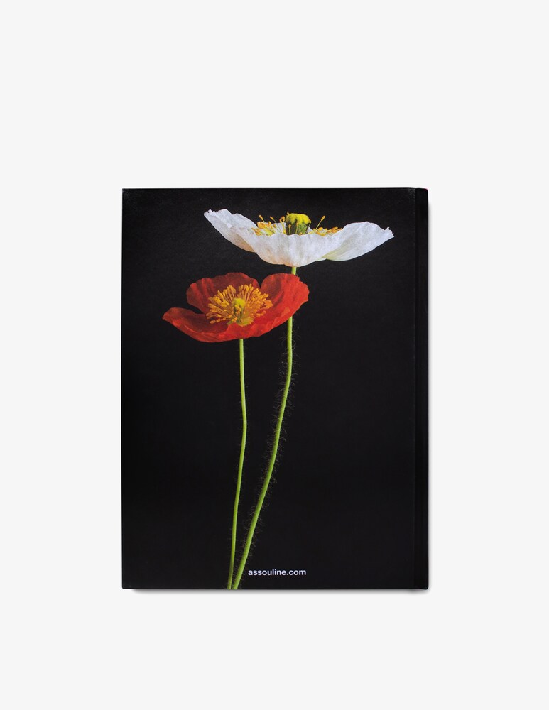 Assouline Flowers: Art & Bouquets Libro
