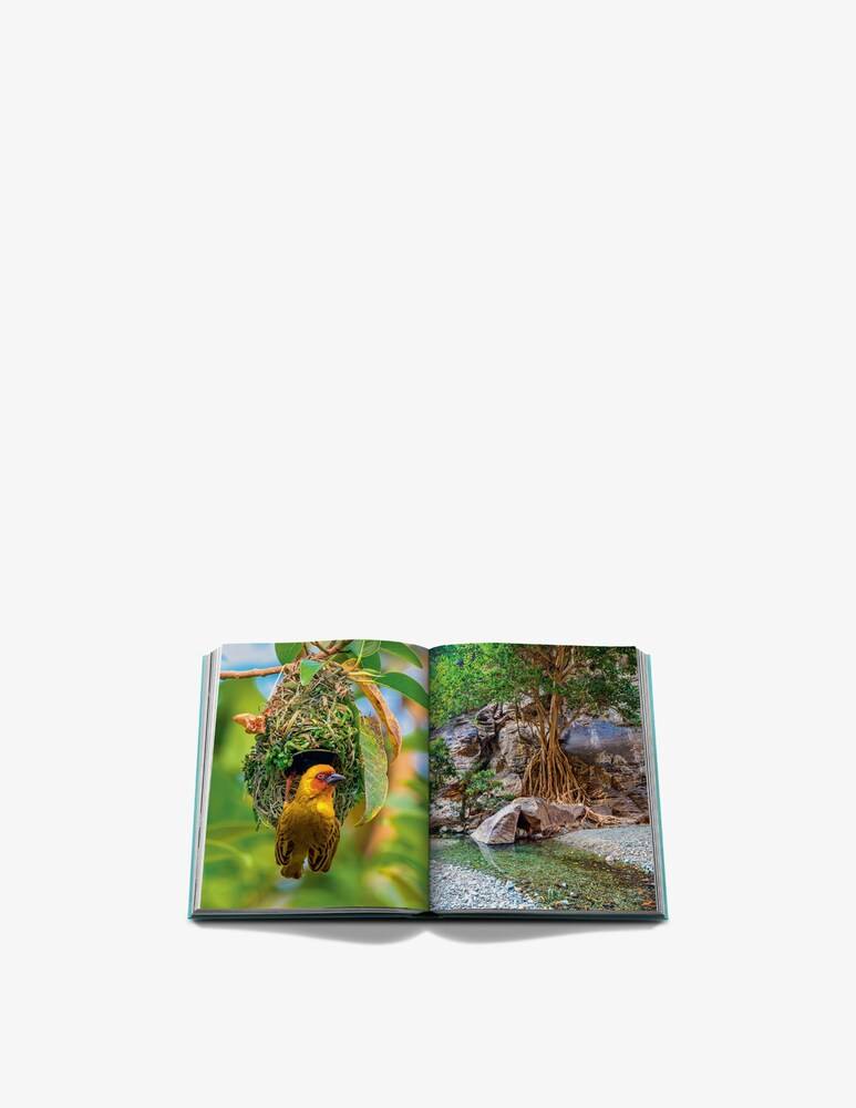 Assouline Red Sea: The Saudi Coast Libro