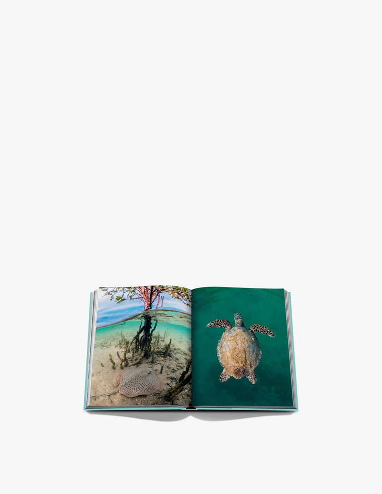 Assouline Red Sea: The Saudi Coast Libro