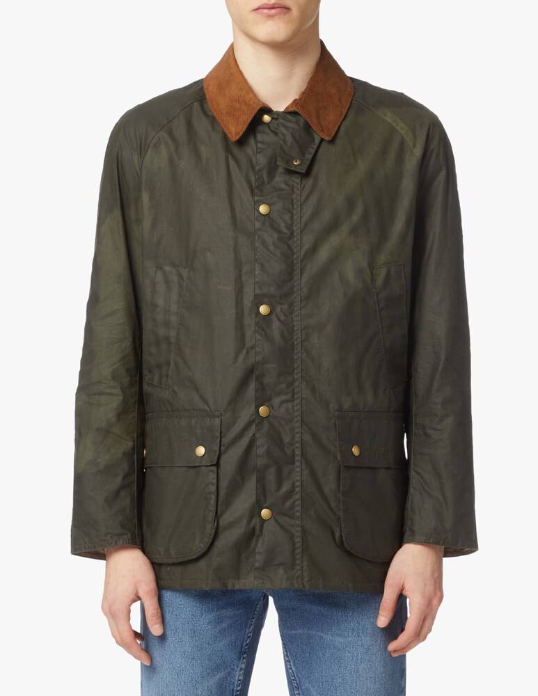 Barbour Giacca ashby ltw - oliva