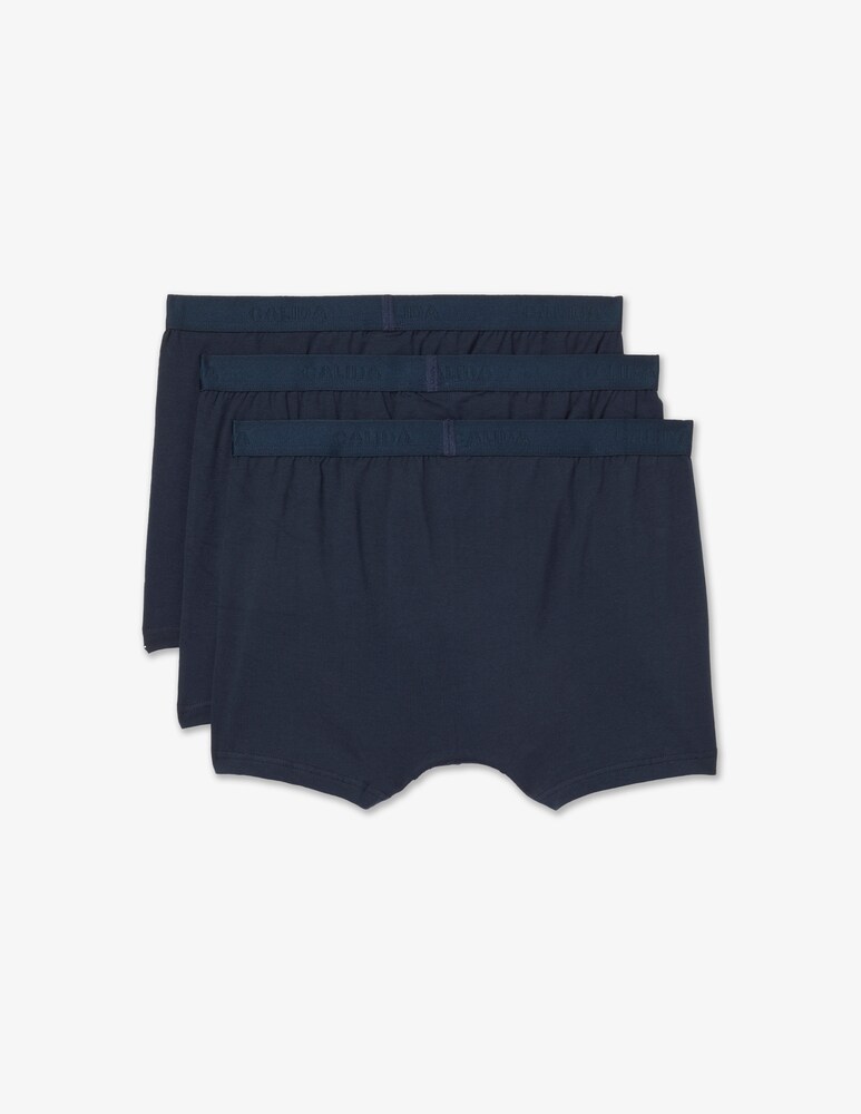 Calida Boxer