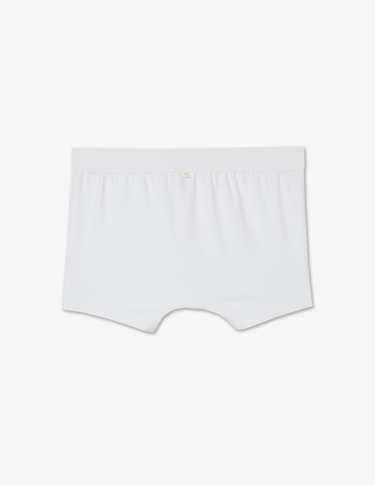 Calida Boxer Clean Line