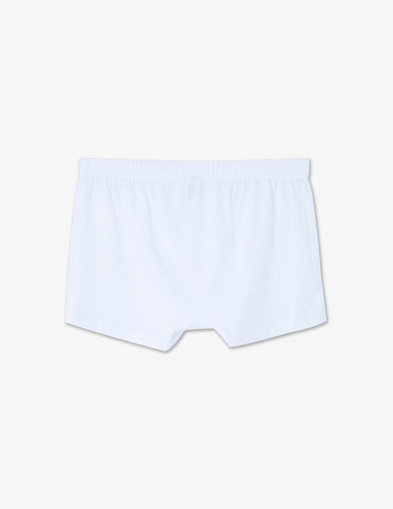 Calida Boxer Evolution