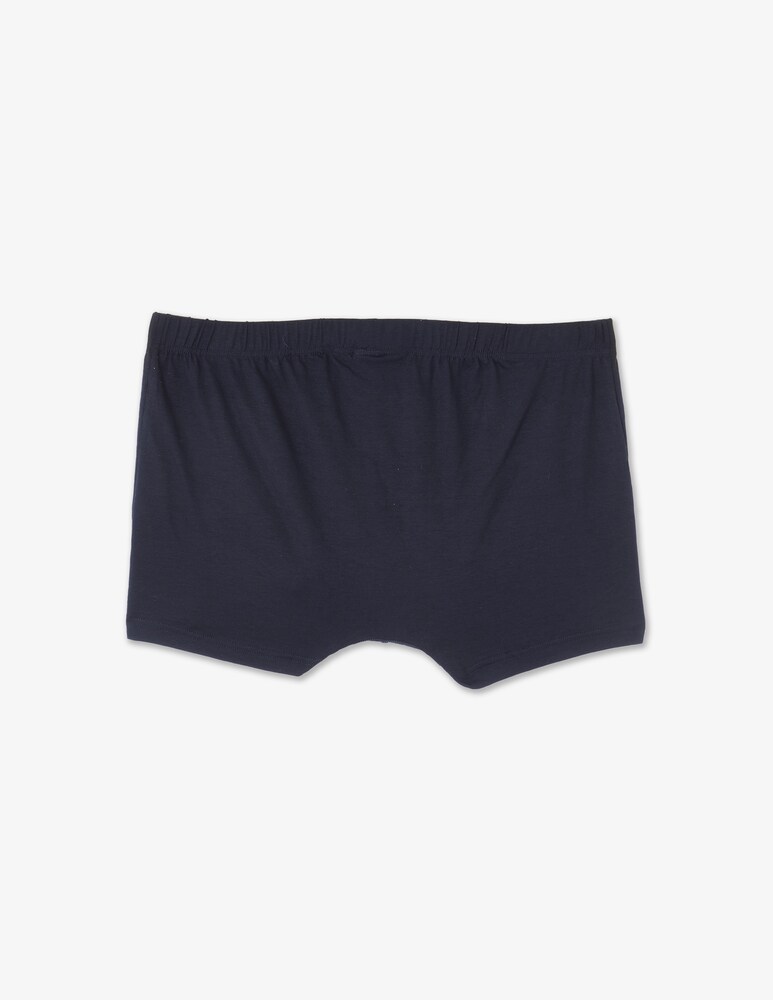 Calida Boxer Evolution