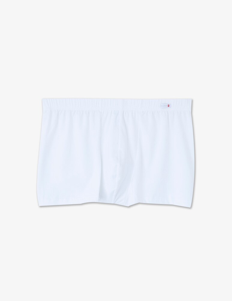 Calida Boxer evolution