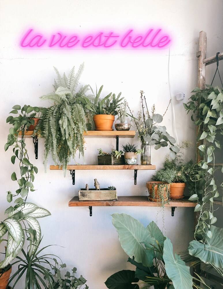 Candyshock Neon/Ledparete Con Design La Vie Est Belle