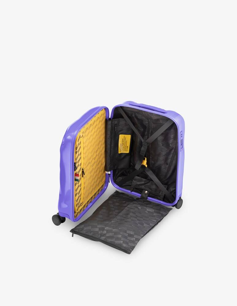 Crash Baggage Icon Tone On Tone Bagaglio A Mano