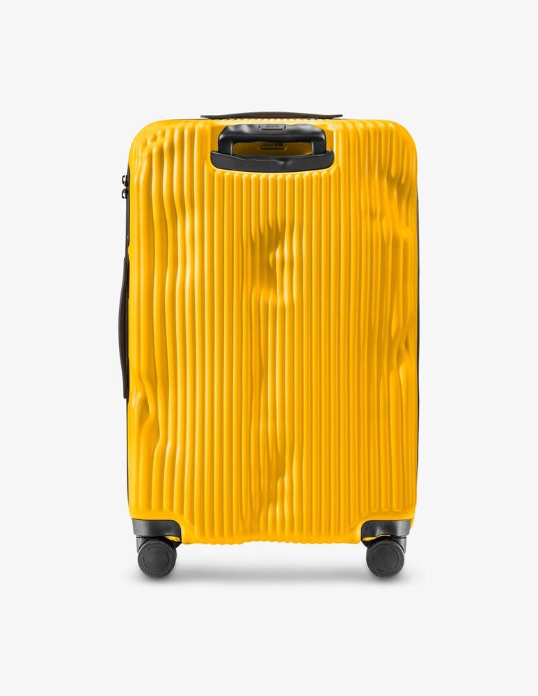 Crash Baggage Stripe Medium Bagaglio Da Stiva