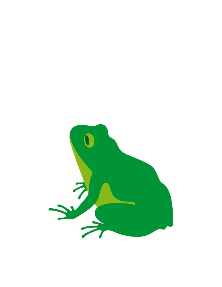 Danese Quattordici La Rana serigrafia - Verde
