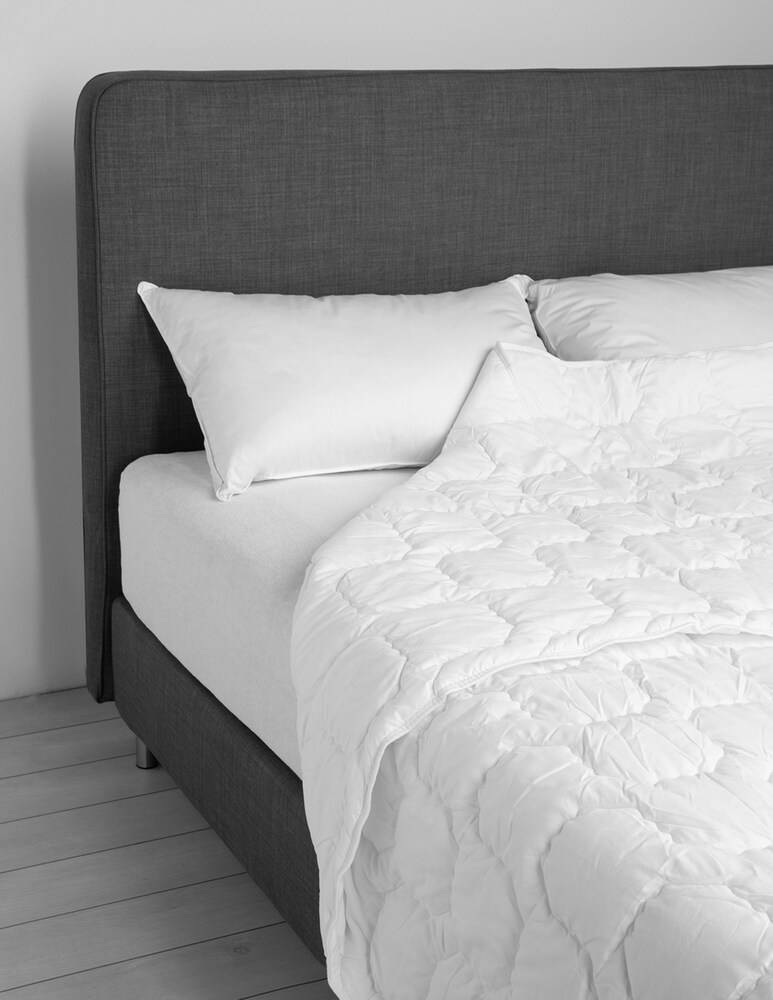 Daunenstep Guanciale Fibra AIRELLA CLASSIC 50x80 - Bianco