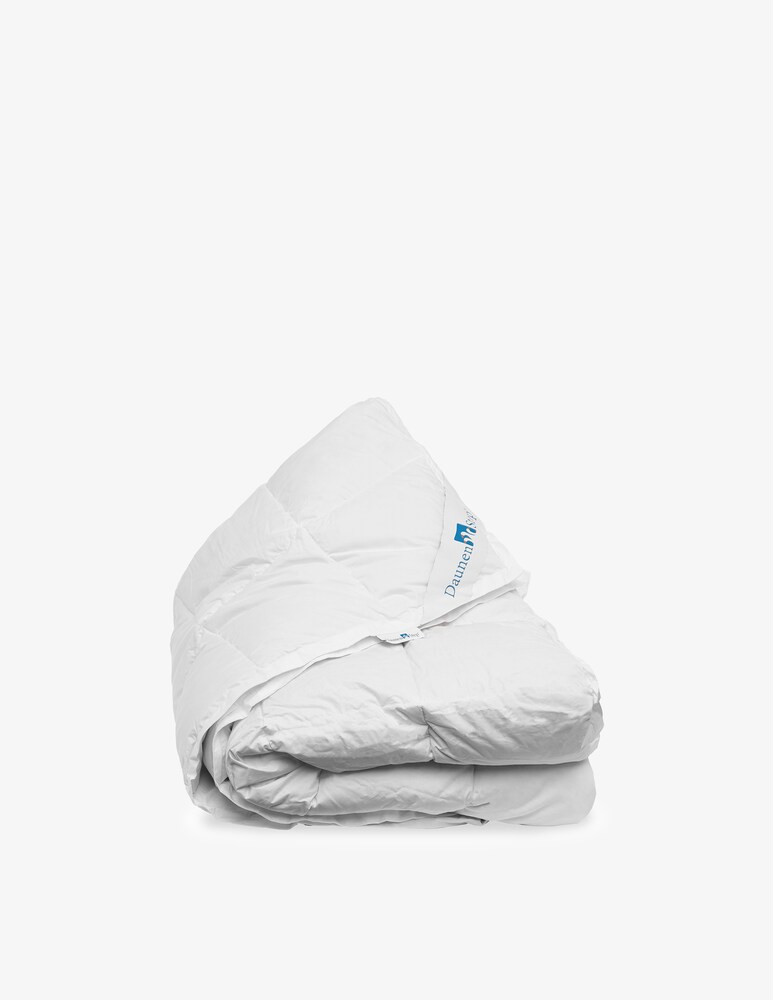 Daunenstep Piumino D800 Classic Winter 250X200Cm