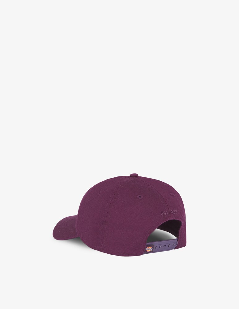 Dickies Cappellino Hardwick