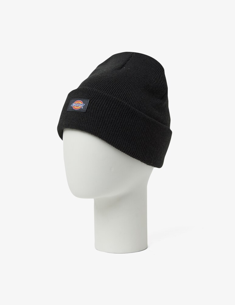 Dickies Cappello beanie gibsland