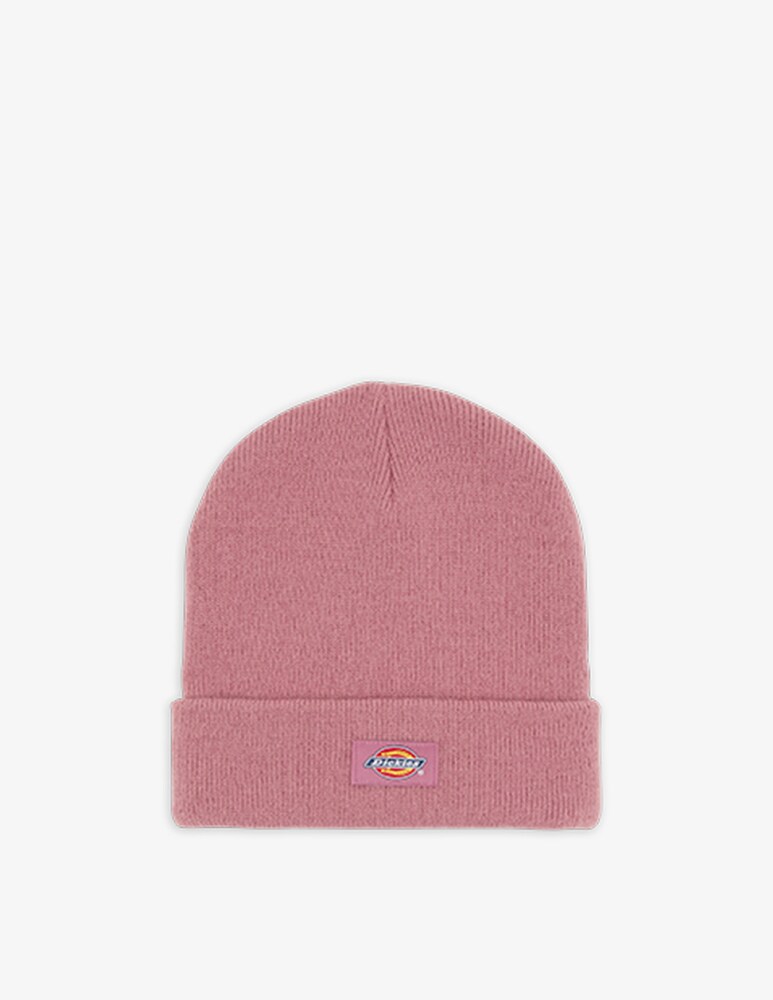Dickies Cappello beanie gibsland