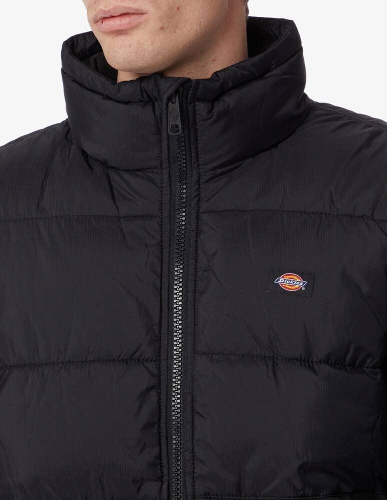Dickies Giacca Waldenburg