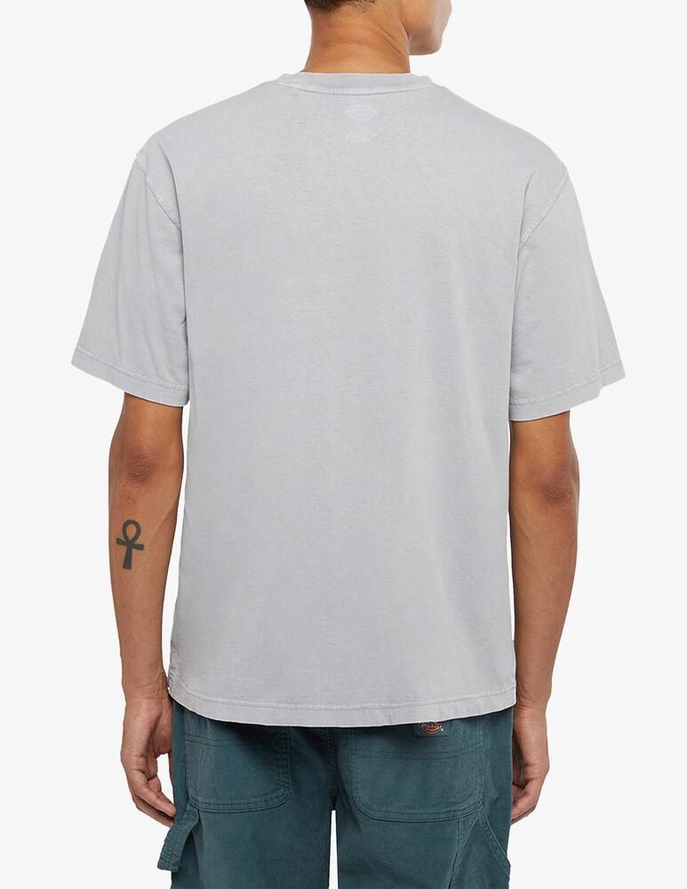 Dickies Maglietta Plentywood