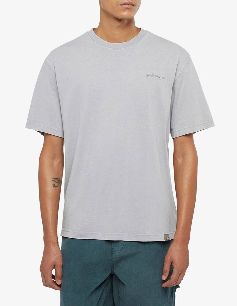 Dickies Maglietta plentywood