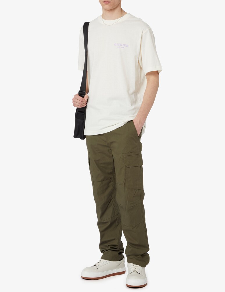 Dickies Pantalone Millerville