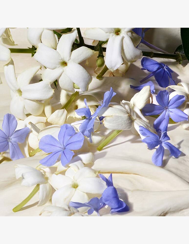 Dolce & Gabbana Dolce Blue Jasmine Eau De Toilette