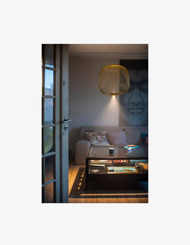 Foscarini Spokes 2 Midi Sospensione
