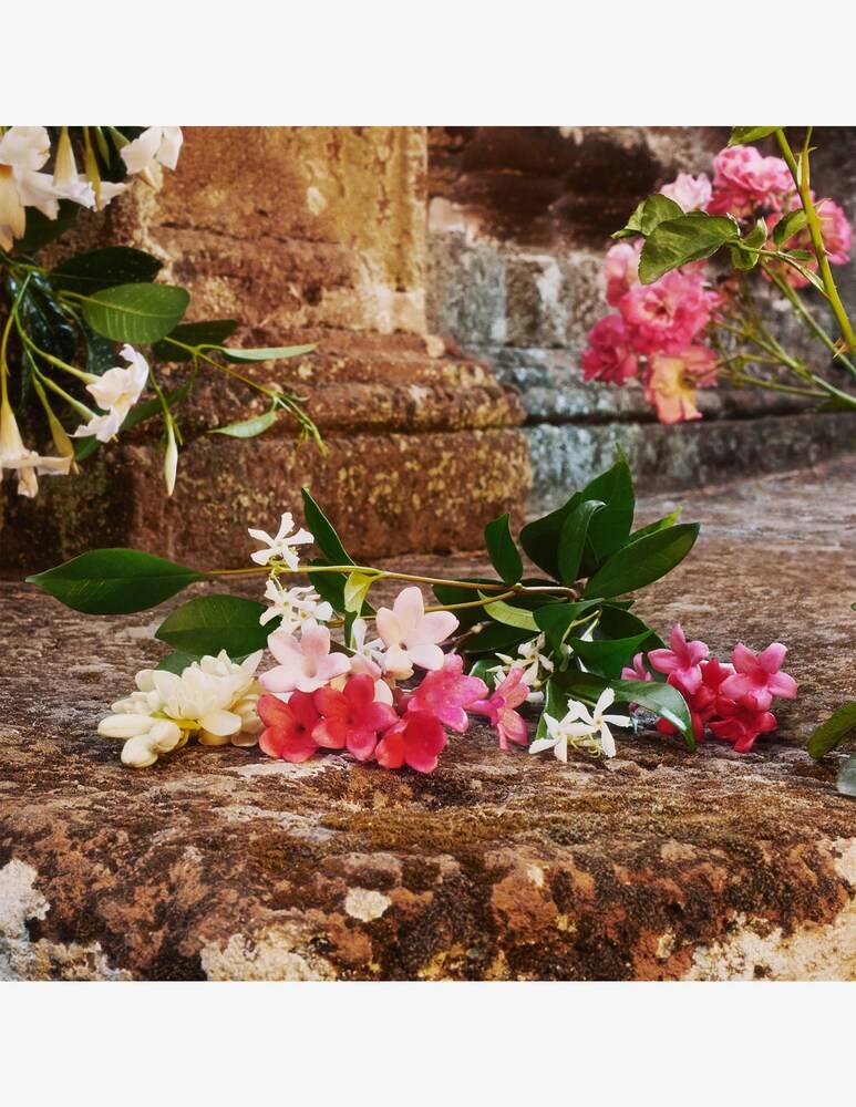 Gucci Gucci Bloom Eau De Toilette