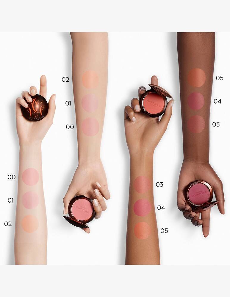 Guerlain Terracotta Blush