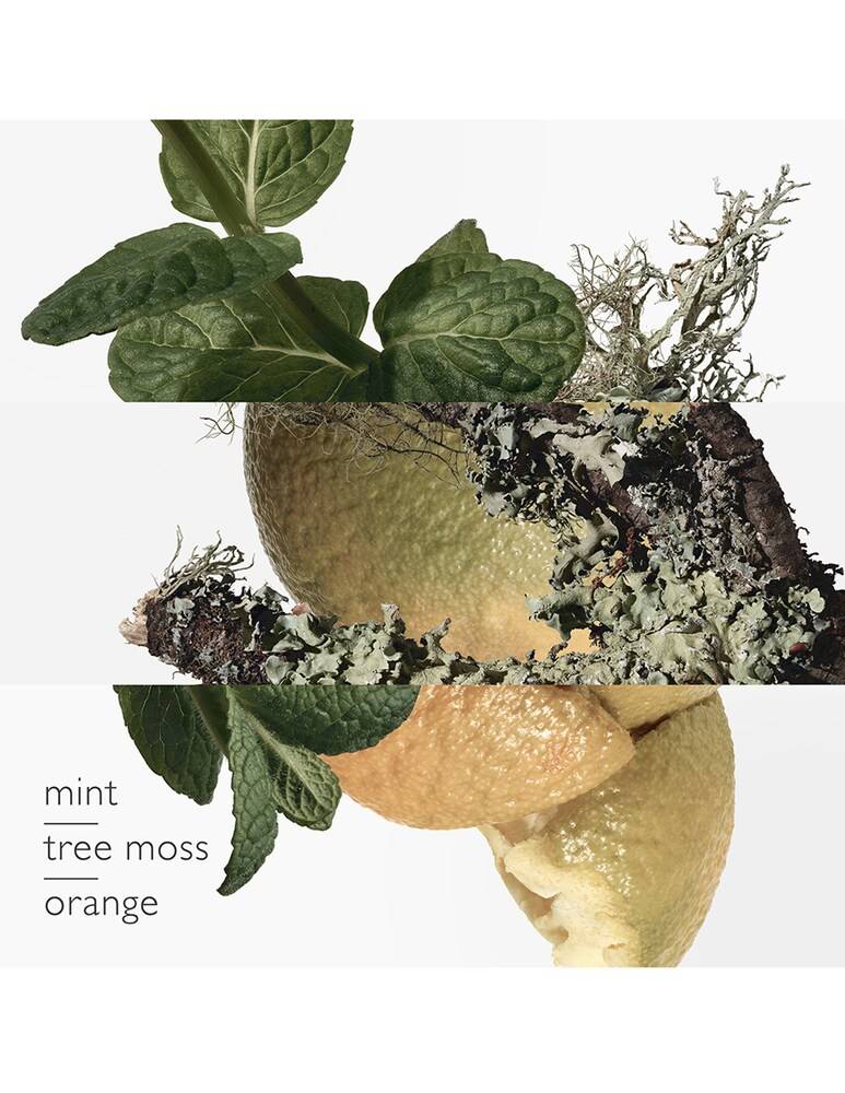 HERMÈS Eau D'Orange Verte Eau De Cologne Flacone
