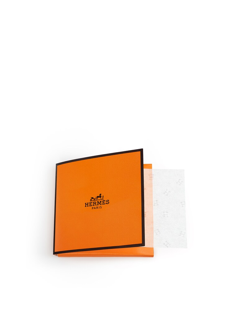 HERMÈS Plein Air Salviette Opacizzanti