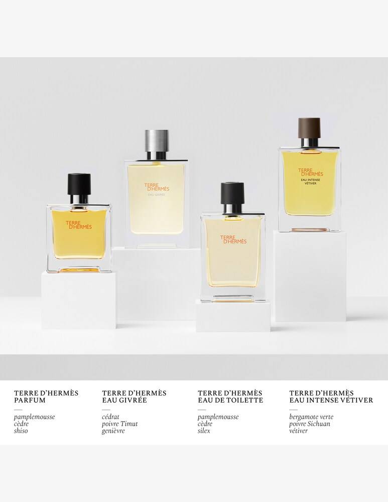HERMÈS Terre D’Hermès Eau Givrée Ricarica Eau De Parfum