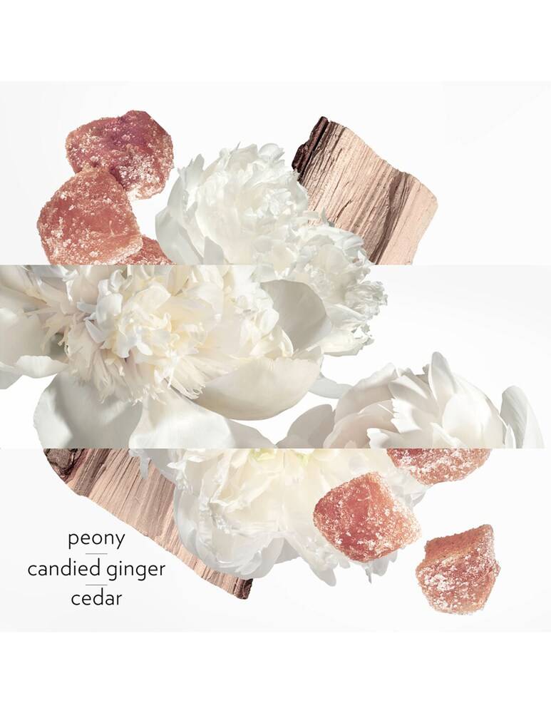 HERMÈS Twilly Eau Ginger Eau De Parfum