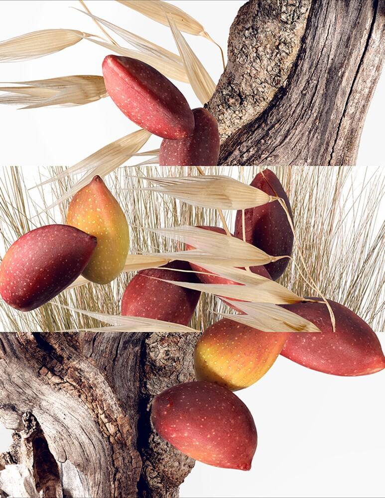 HERMÈS Un Jardin à Cythère Eau De Toilette