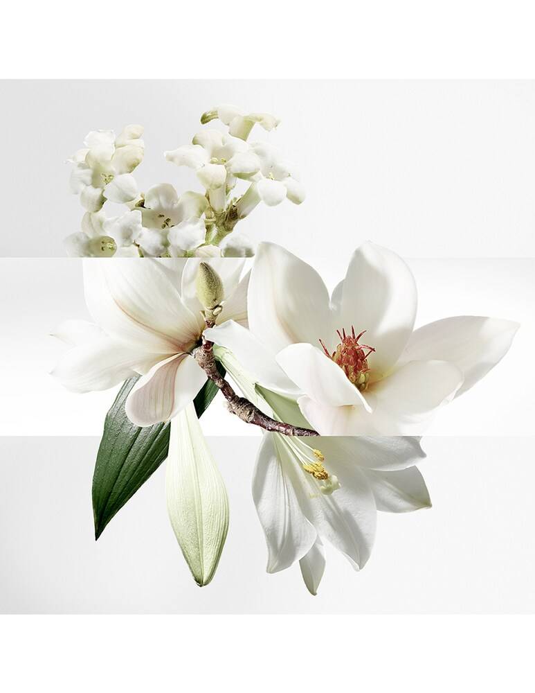HERMÈS Un Jardin Sur La Lagune Eau De Toilette