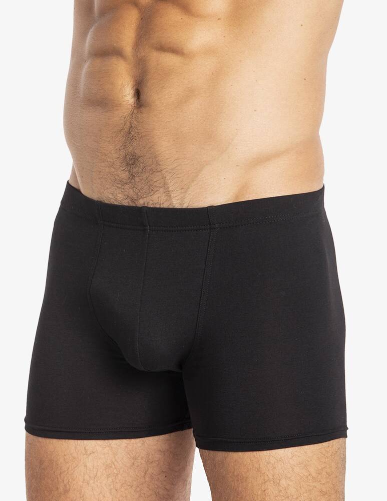 Julipet Boxer Ivre