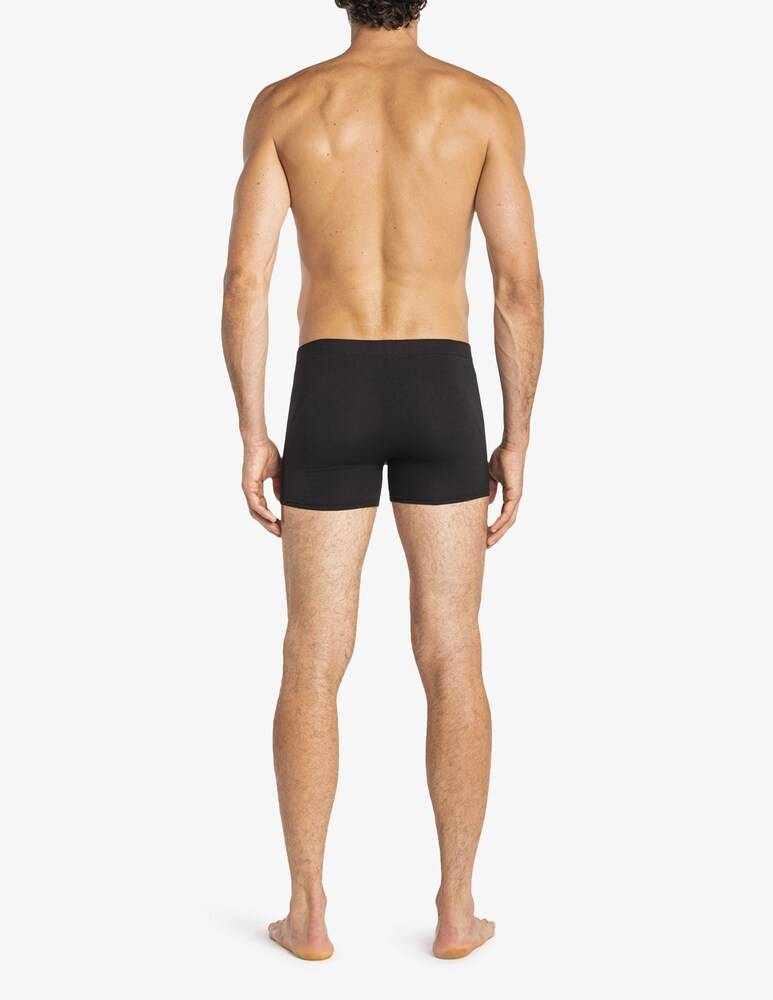 Julipet Boxer Ivre