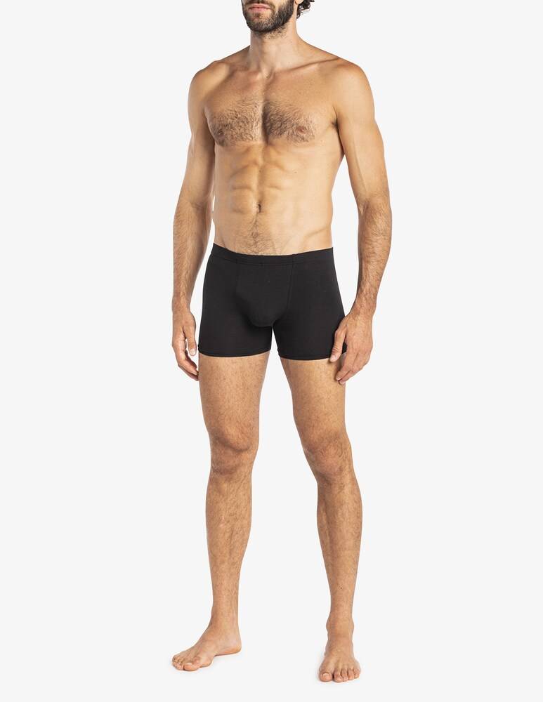 Julipet Boxer Ivre