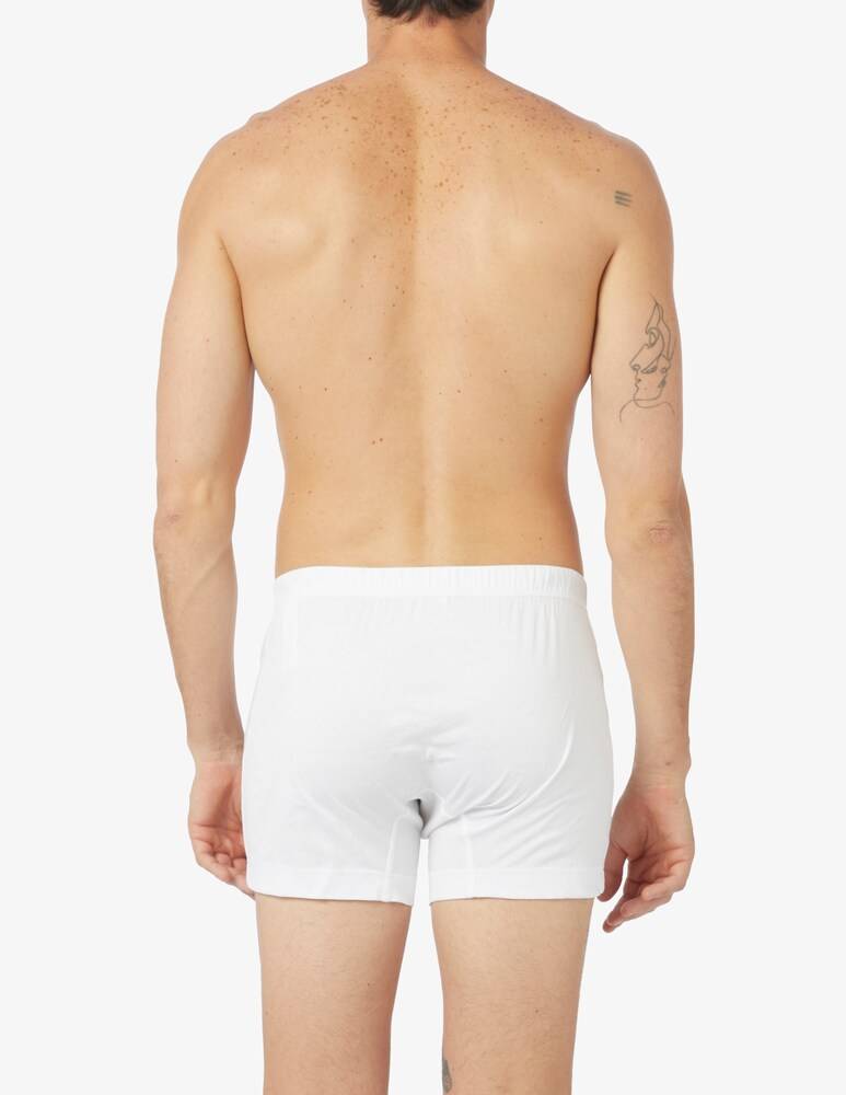 Julipet Boxer Ivre