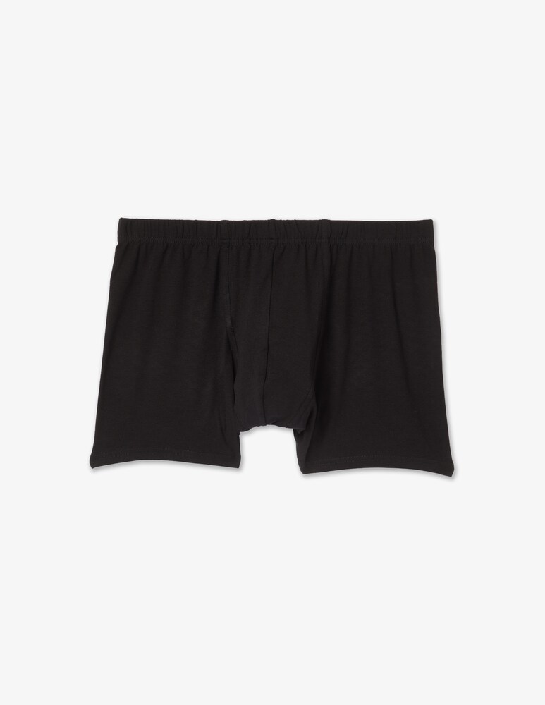 Julipet Boxer ivre